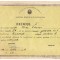 QW13 11 - 1978 - diploma - clasa 1 - Scoala generala nr 1 - Bucuresti