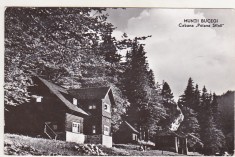 bnk cp Muntii Bucegi - Cabana Poiana Stanii - circulata