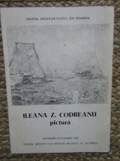 CATALOG DE EXPOZITIE ILEANA Z. CODREANU PICTURA SEPTEMBRIE-OCTOMBRIE 1995