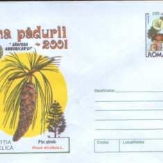 Intreg postal plic nec.2001 - Luna Padurii - sadirea arborilor - Pin strob