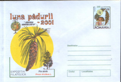Intreg postal plic nec.2001 - Luna Padurii - sadirea arborilor - Pin strob foto