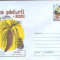 Intreg postal plic nec.2001 - Luna Padurii - sadirea arborilor - Pin strob