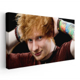 Tablou afis Ed Sheeran cantaret 2404 Tablou canvas pe panza CU RAMA 30x60 cm