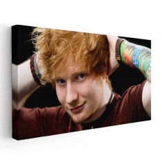 Tablou afis Ed Sheeran cantaret 2404 Tablou canvas pe panza CU RAMA 70x140 cm