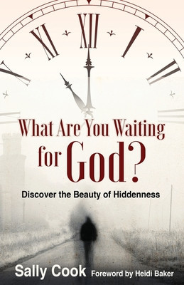 What are You Waiting for God?: Discover the Beauty of Hiddenness foto