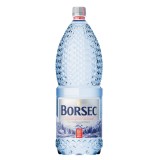 Apa plata Borsec 2l