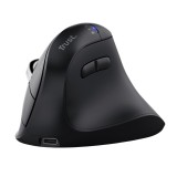 Mouse Wireless Trust Vyran, 4800 DPI, Negru