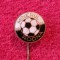 Insigna fotbal - &quot;MINERUL&quot; RODNA