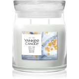 Yankee Candle Silver Birch lum&acirc;nare parfumată 368 g