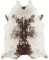 Foto  - 1