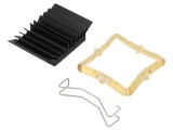 Radiator cu Aripioare BGA Negru 29x29mm