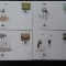 Malawi-WWF,FDC pasari-set complet