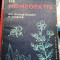 Manual de Homeopatie - Dr. Doc. Gheorghe Bungetianu, Dr. Pavel Chirila