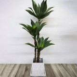 Planta Artificiala Dracaena fragrans, fara Ghiveci, 180cm Verde ModernLight Concept