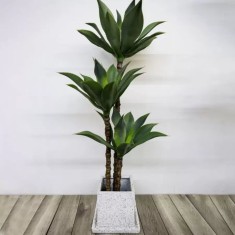 Planta Artificiala Dracaena fragrans, fara Ghiveci, 180cm Verde ModernLight Concept