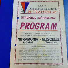 program Nitramonia fagaras - Muscelul C-lung