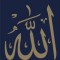 Daily Wisdom: Selections from the Holy Qur&#039;an