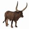 Figurina taur ankole-watusi l collecta