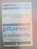 PITORESC SI MELANCOLIE-ANDREI PLESU BUCURESTI 1980