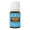 KidScents Refresh