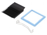 Radiator BGA Negru 45x45mm