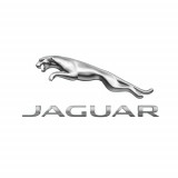 Brake Disc Set (2pc) Oe Jaguar C2C25337