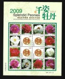 china flori mnh