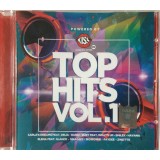 Various Artists Top Hits Vol. 1 (cd)