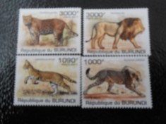 Burundi -Fauna ,feline-serie completa ,MNH foto