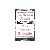 The Beautiful Struggle: A Father, Two Sons, and an Unlikely Road to Manhood