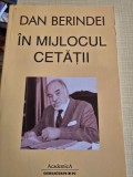 In mijlocul cetatii - Dan Berindei