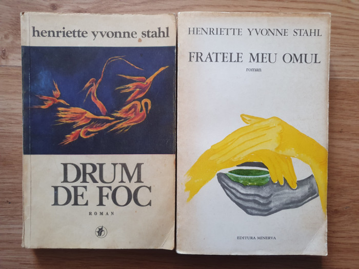 DRUM DE FOC + FRATELE MEU, OMUL - Henriette Yvonne Stahl
