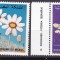 Maroc 1979 flori MI 914-915 MNH
