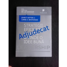 Strategii eficiente pentru a vinde mai bine - John P. Kotter
