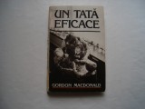 Un tata eficace - Gordon MacDonald