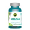 Vitacan 60 capsule Hypericum, Hypericum Plant