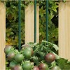VidaXL Țăruși pentru plante de grădină, 30 buc., verde, 180 cm, oțel 319371