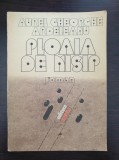 PLOAIA DE NISIP - Aurel Gheorghe Ardeleanu