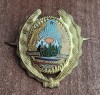 QW14 - Emblema militara / cuc - medie - uscat - comunism - piesa de colectie