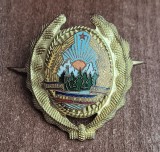 QW14 - Emblema militara / cuc - medie - uscat - comunism - piesa de colectie
