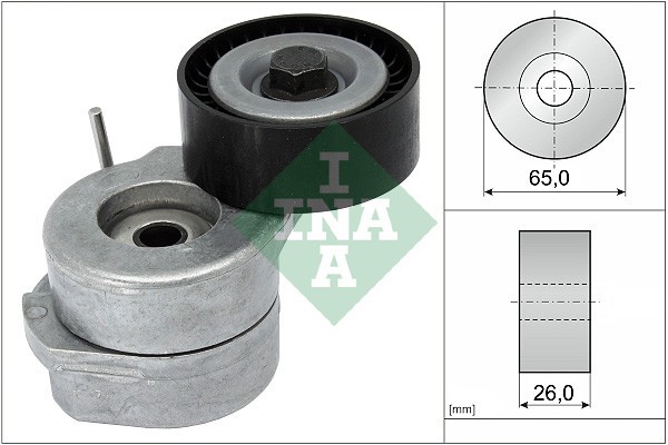 INA 534 0053 10 Intinzator curea, curea distributie