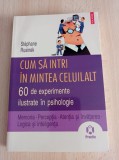 Cum sa intri in mintea celuilalt. 60 de experimente ilustrate in psihologie