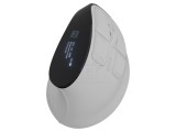 Mouse Natec EUPHONIE PRO NMY-2378 alb/negru wireless USB A &amp; USB C optic