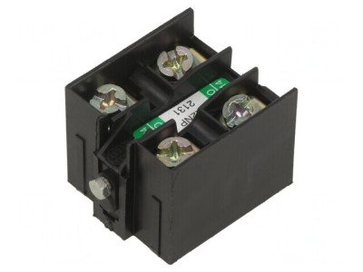 Contacte auxiliare NO x2 OsiSense XE2NP2131 foto