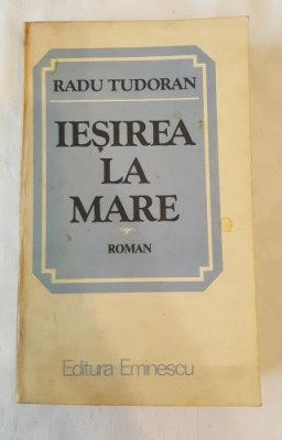 Radu Tudoran - Iesirea la mare foto