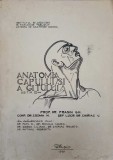 ANATOMIA CAPULUI SI A GATULUI VOL.1-FRASIN GH., COZMA N., CHIRIAC V.-272397