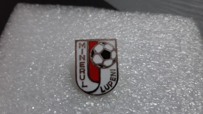 Insigna Minerul Lupeni foto