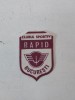 Emblema fotbal Club Sportiv RAPID Bucuresti, ecuson cu sigla, RSR anii 80, colectie