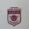 Emblema fotbal Club Sportiv RAPID Bucuresti, ecuson cu sigla, RSR anii 80, colectie