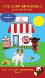 Five Chapter Books 1 (Step 1) Sound Out Books (systematic decodable) Help Developing Readers, Including Those with Dyslexia, Learn to Read with Phonic